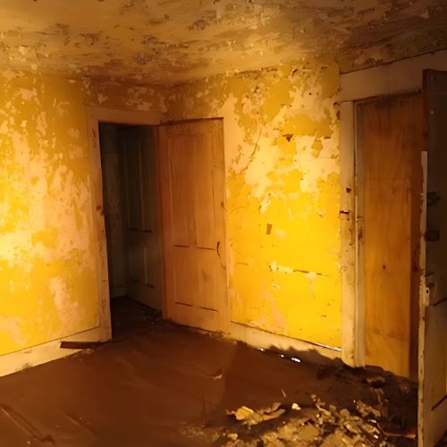 Freemany Center BPT Little Liberia Restoration