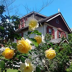 Lewis Latimer House Museum